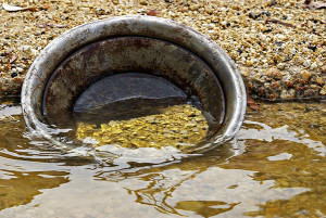 Gold Panning